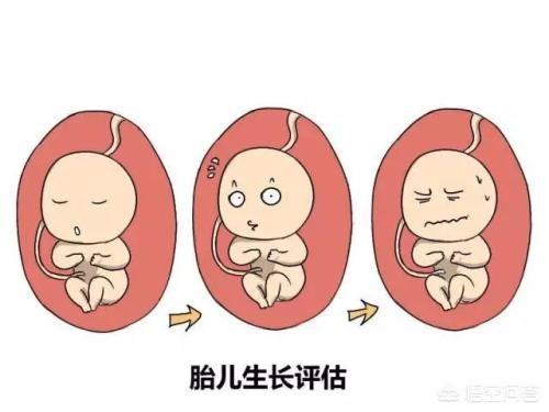 离预产期还有24天胎儿还没4斤重怎么办？