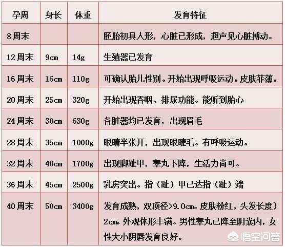 离预产期还有24天胎儿还没4斤重怎么办？