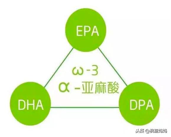 这植物含“脑黄金”，可使婴幼儿智商提高20%，孕妇和孩子都要吃