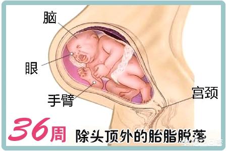 怀孕9个月的人，可不可以剖腹产呢？需要注意哪些问题？