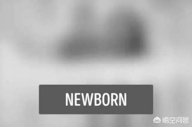 宝宝是如何慢慢看到东西的？