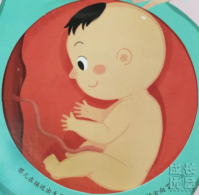 嫌性教育太早？罪犯却不会嫌孩子太小丨明日团