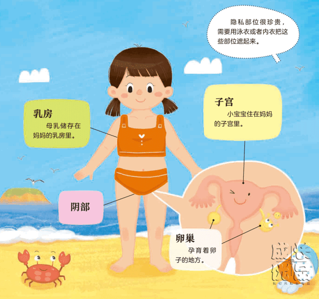 嫌性教育太早？罪犯却不会嫌孩子太小丨明日团