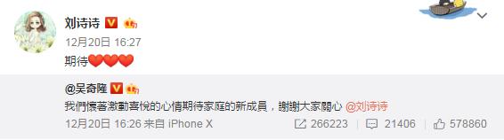 失踪人口刘诗诗孕后首露面 状态好成这样一定是知道这些