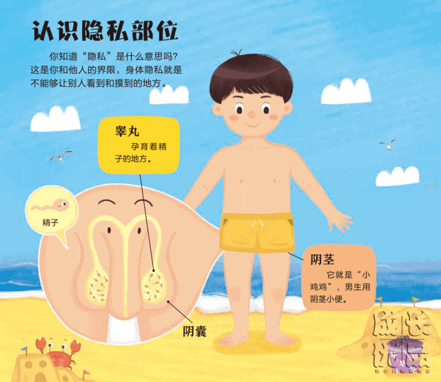 嫌性教育太早？罪犯却不会嫌孩子太小丨明日团