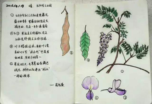 引导孩子做份自然笔记，见证冬季大自然之美，让旅行更有趣