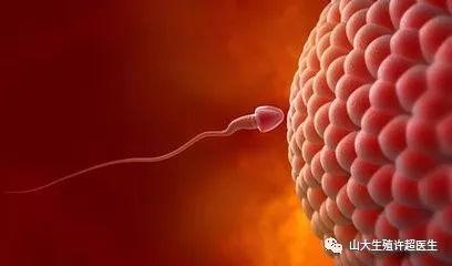 生男生女到底是精子决定的还是卵子决定的？