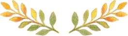 宝宝超爱吃的蛋卷，一学就会，还能长个哦！