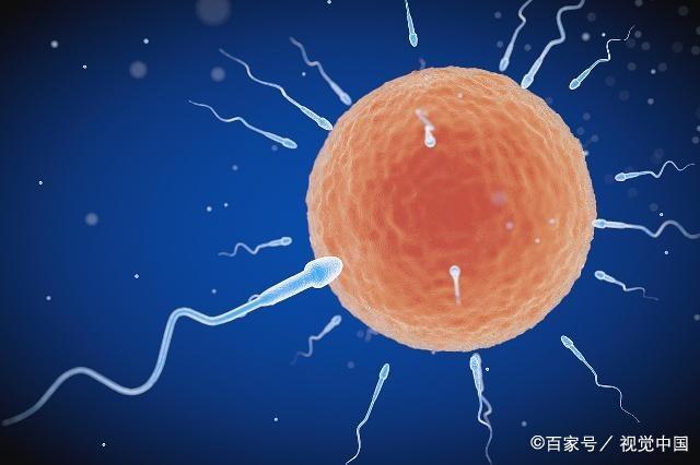 男人也有最佳生育年龄，若你打算生二胎，希望你没超过这个年龄！