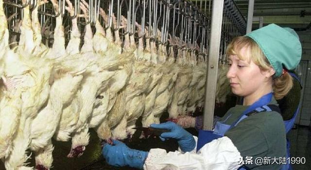 “9种”食物要注意了，小孩吃多了容易早熟，有小孩的看看