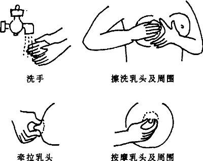孕期的妈妈该如何做好母乳喂养的准备？