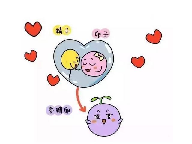 受精卵着床有感觉吗？如果身体有这5种反应，很有可能是怀孕了！