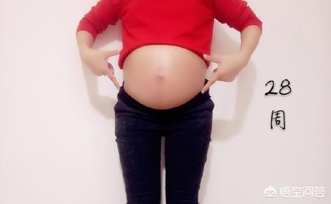 怀孕28周，肚型是什么样子？