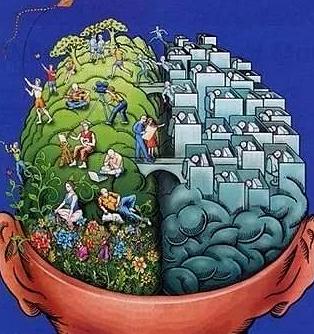 美国哈佛科学家研究：孩子只有3次大脑发育高峰，错过悔一生