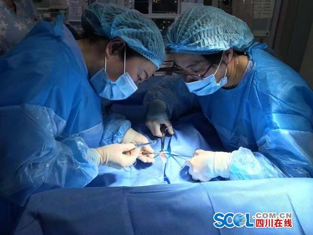 三家医院无缝对接 紧急抢救袖珍“茄子婴儿”
