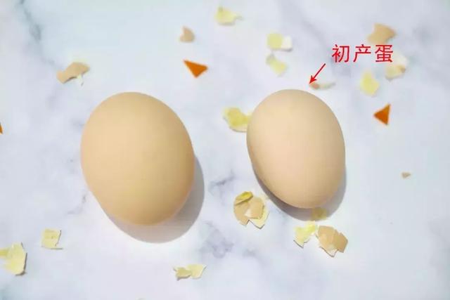 鲜、嫩、香的初生蛋，没有腥味，给宝宝吃最适合了！