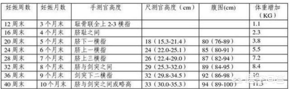 怀孕五个月胎儿位置是哪里了的，该怎么看？