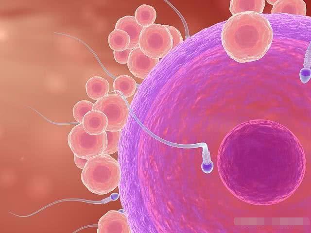 一般备孕几个月能怀孕？这3件小事做到了，或许能助你早日怀孕！
