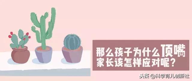 孩子爱顶嘴？家长做好这6点，比吼一千句都有用