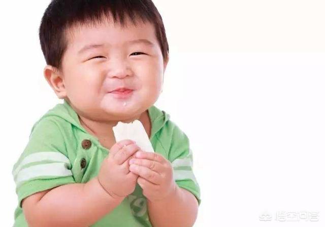 一岁多的宝宝应该怎么安排一天的辅食与奶量？