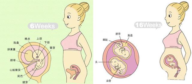 妈宝悦提示：这些小信号竟是胎宝宝的猛涨期！准妈妈该这样应对！