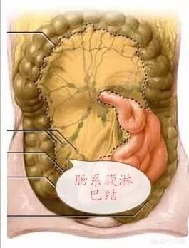 五岁小孩患有肠系淋巴结炎，总肚子疼有什么解决办法？