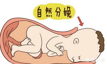 为什么有的人生孩子快，有的生的慢？