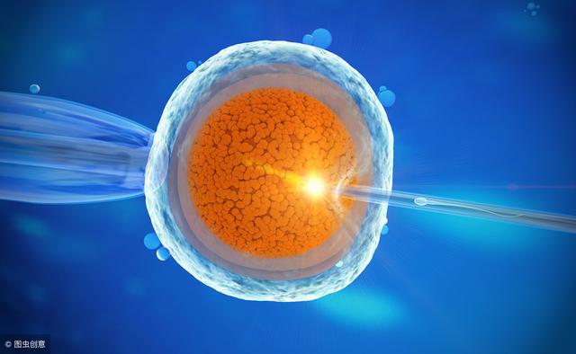 女性在排卵期怎么轻松怀孕？吃这5类食物提高卵子质量，一碰就中