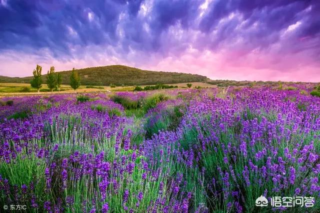 为什么有的人对自己孩子的爱比对父母的爱要多?