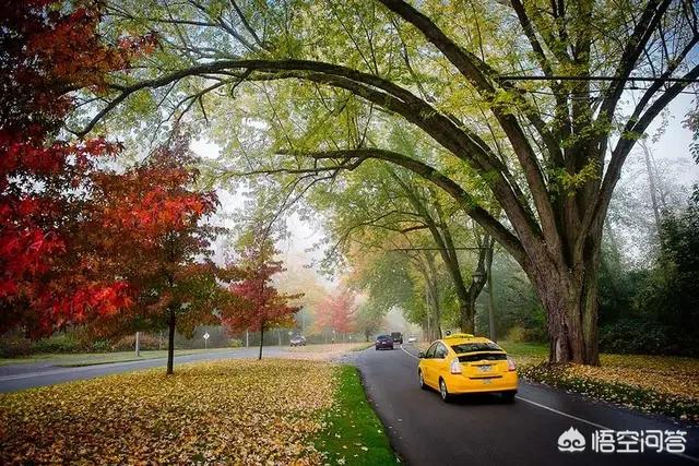 为什么有的人对自己孩子的爱比对父母的爱要多?