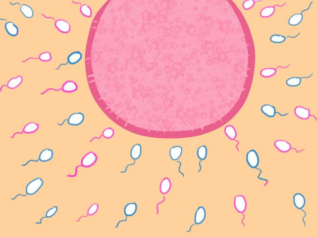 月事不规律？这几种感觉也能抓住排卵期，备孕的女性要知晓！