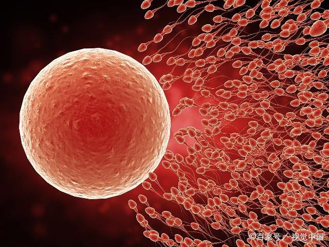 错过了最佳生育年龄，那这三个助孕技巧，也许你能用得上！