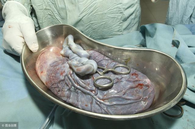 生孩子的胎盘都是怎么处理的？大多数妈妈都没考虑过胎盘的问题