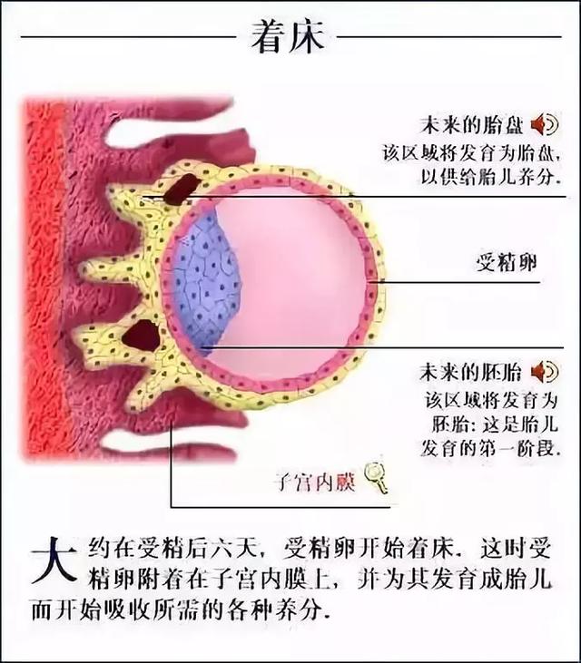 孕期“见红”，会不会是流产了？