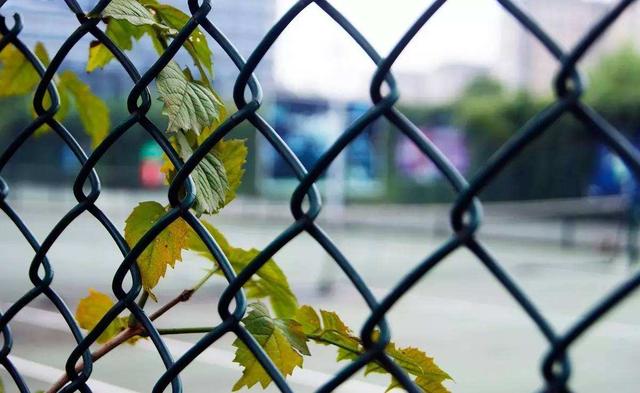 当孩子被欺负时，你的行为，将决定他们今后能不能抬得起头