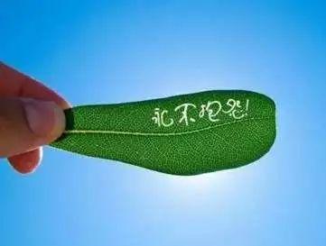 美国前总统奥巴马的家规，值得每个父母学习和借鉴的育儿智慧！