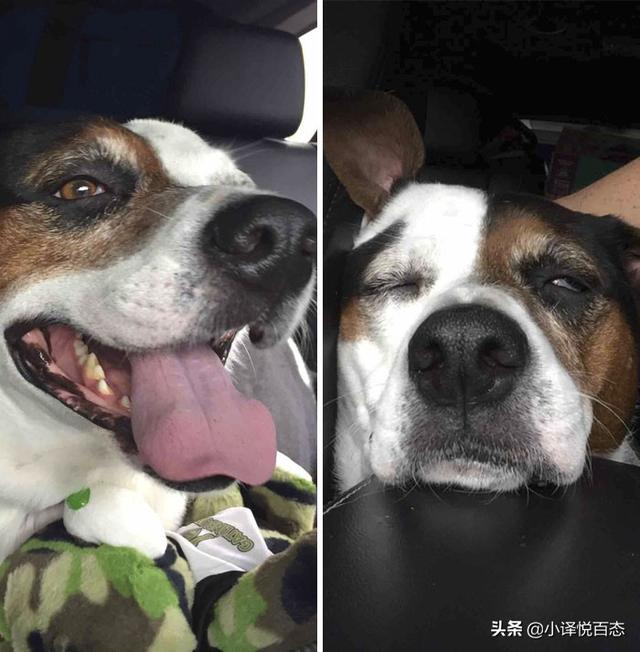 有趣的对比照，能激发想象和思考