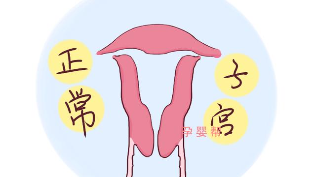 老人常说怀孕“七成八不成”啥意思？当妈后，才知道其中深意