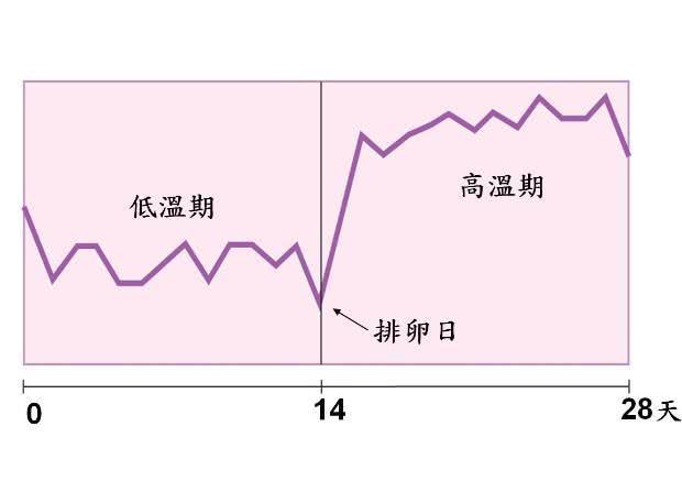 备孕找不准“排卵日”？其实这3个“排卵信号”，或许更靠谱！