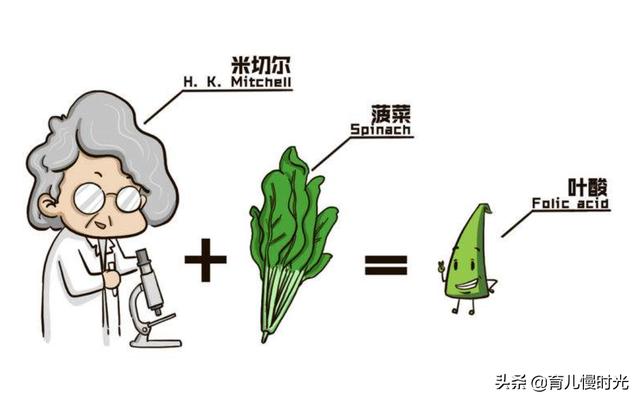 免费叶酸和高价叶酸区别在哪？药店不会告诉你的真相！