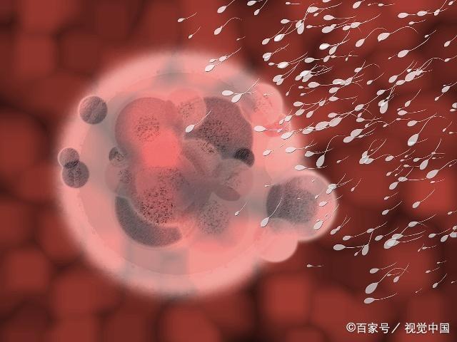 什么样的男人，更易让女人怀孕？不妨对照一下这三个标准！