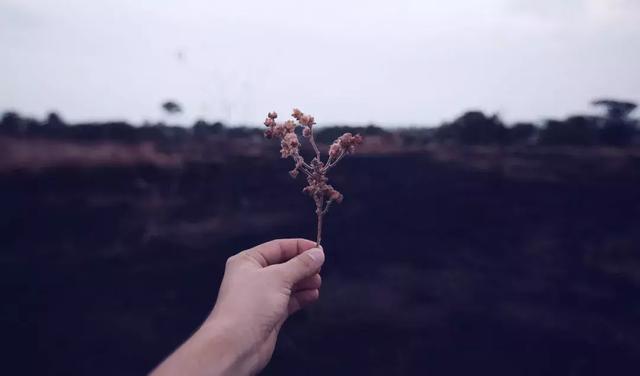 每个人的人生功课都不一样，不比较，做自己