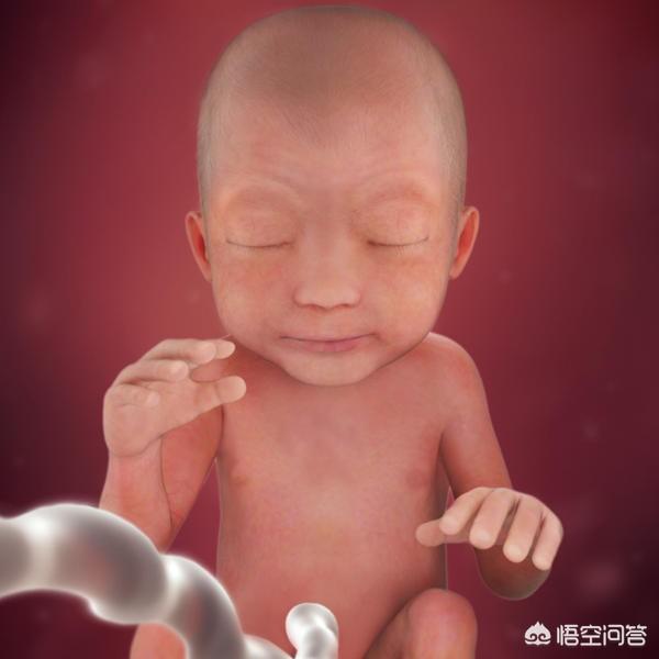 怀孕妈妈们在24周的时候肚子都有多大？
