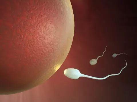 生完孩子两月，大姨妈来了，需要调养吗？