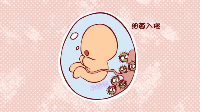 孕晚期不要有这3种行为，易对胎儿造成感染，很危险