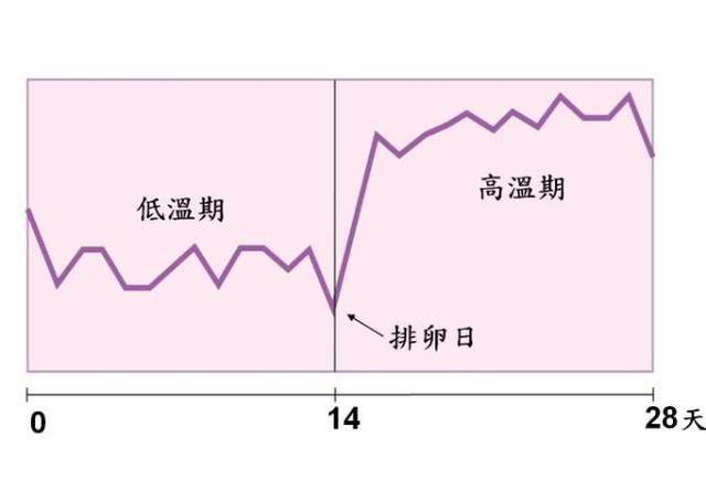 刚怀孕后有感觉吗？若你出现了这3个感觉，可能是备孕成功了！