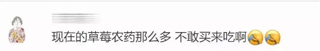 不给孩子吃草莓，真正的理由只有 1 个