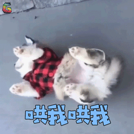 孩子冬天爱赖床、有起床气怎么破？首次公开叫醒秘诀4招！