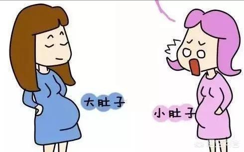 胎盘后壁和前壁有什么区别？