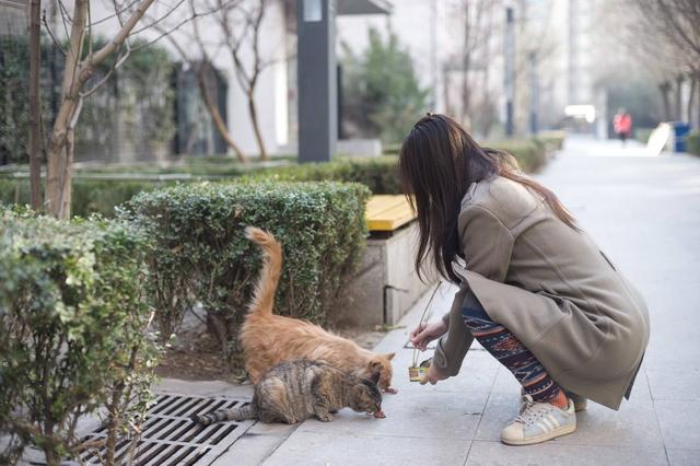 生二胎怎么感觉比头胎还累？不是错觉，原因多半在于这四点